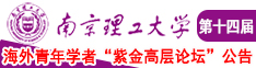 哦嗯插入口啊嗯嗯南京理工大学第十四届海外青年学者紫金论坛诚邀海内外英才！